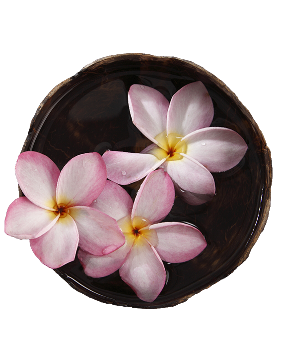 Three pink flowers in a bowl of water.